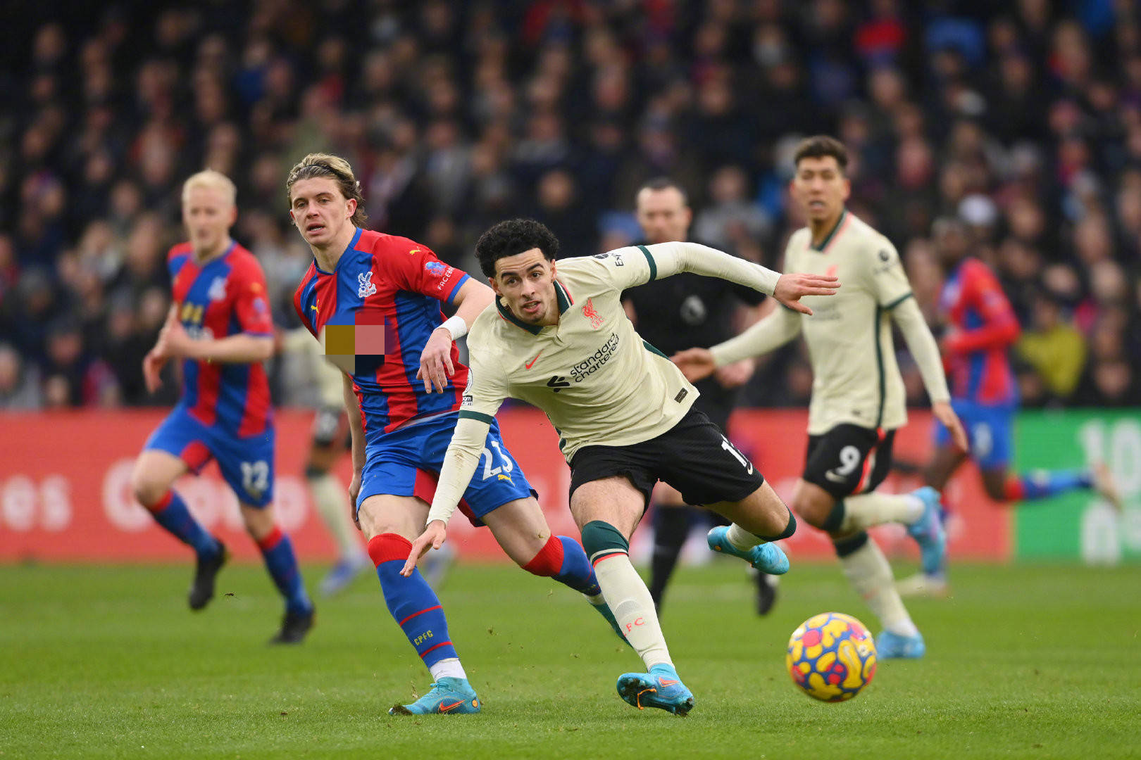 的热情与刺 的热情与刺